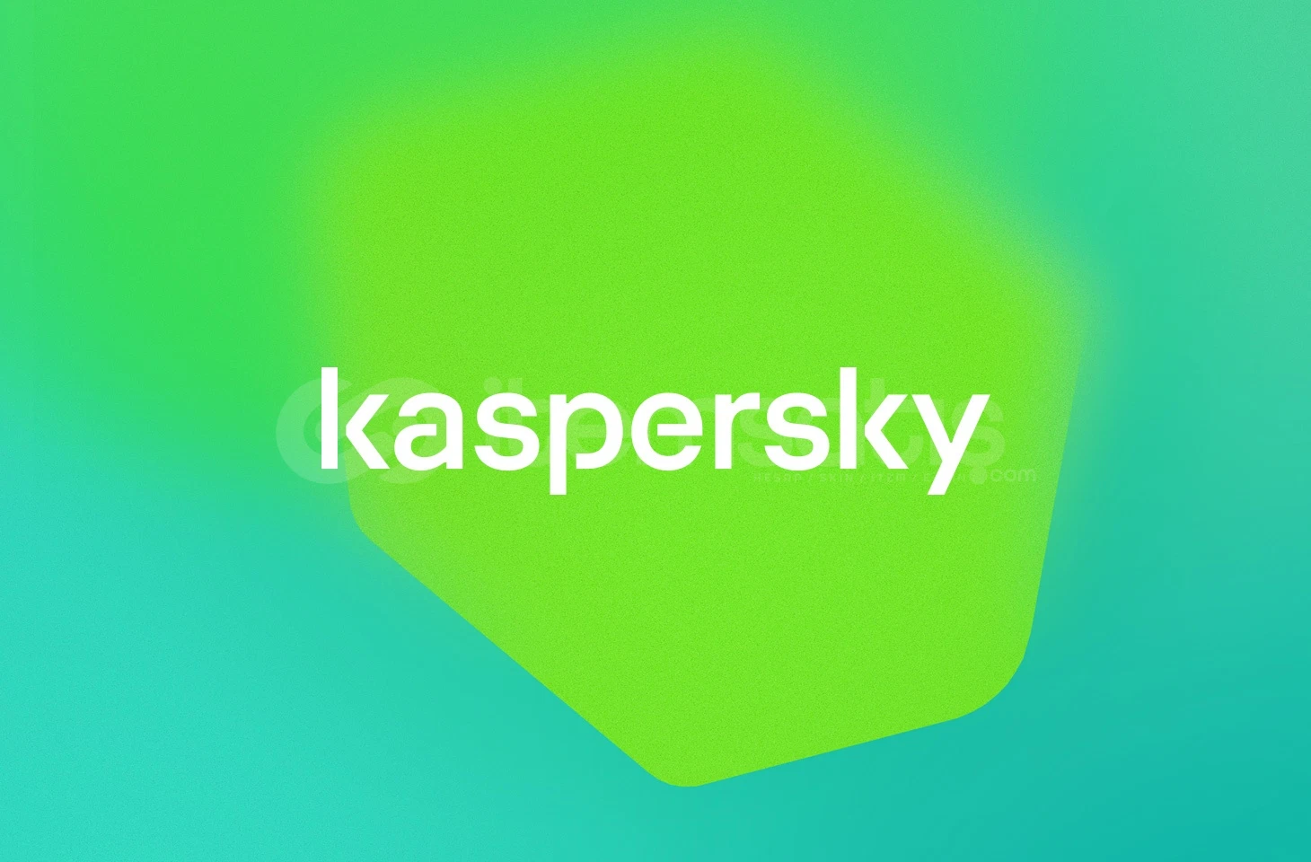 Kaspersky Pro 3 Ay